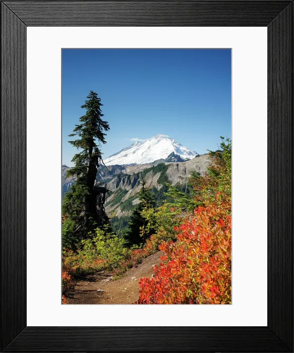 Framed Print : View of the snow capped Mount Baker with beautiful autumn foliage in North Cascades National Park, Washington, USA Framed Print : View of the snow capped Mount Baker with beautiful autumn foliage in North Cascades National Park, Washington, USA