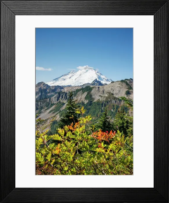 Framed Print : View of the snow capped Mount Baker with beautiful autumn foliage in North Cascades National Park, Washington, USA Framed Print : View of the snow capped Mount Baker with beautiful autumn foliage in North Cascades National Park, Washington, USA