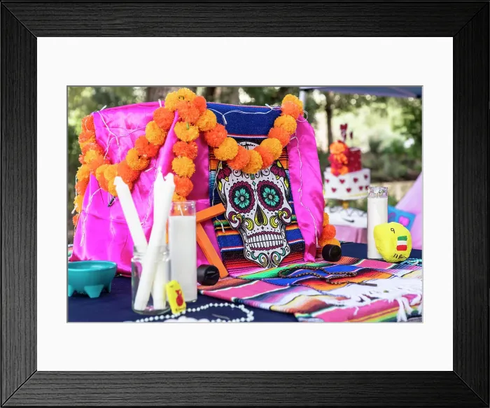 Framed Print : Day of the Dead Festival, San Antonio, Texas, USA