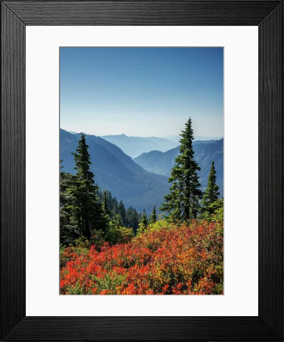 Framed Print : Scenic view of the mountaineous valley and beautiful autumn foliage from Artist Point in North Cascades National Park, Washington, USA Framed Print : Scenic view of the mountaineous valley and beautiful autumn foliage from Artist Point in North Cascades National Park, Washington, USA