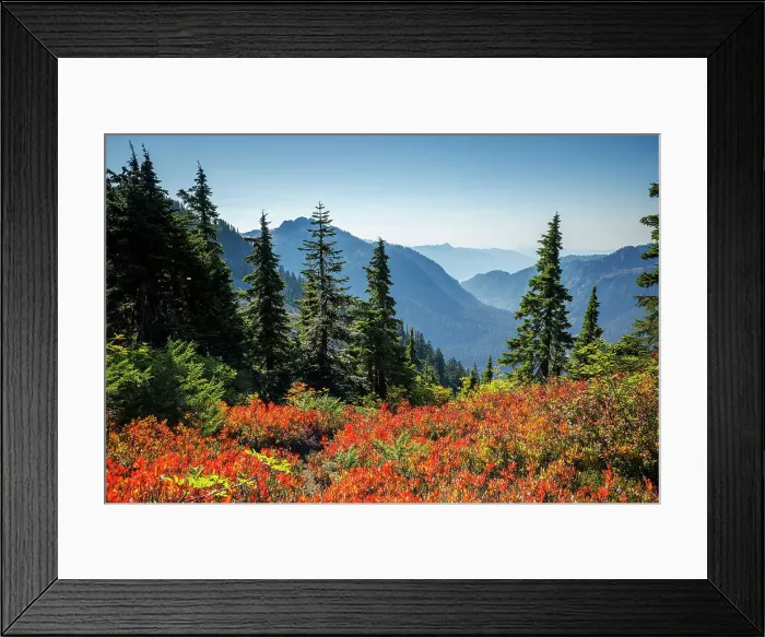Framed Print : Scenic view of the mountainous valley and beautiful autumn foliage from Artist Point in North Cascades National Park, Washington, USA Framed Print : Scenic view of the mountainous valley and beautiful autumn foliage from Artist Point in North Cascades National Park, Washington, USA