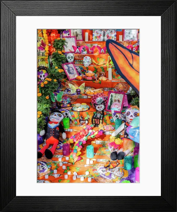 Framed Print : Day of the Dead Festival, San Antonio, Texas, USA