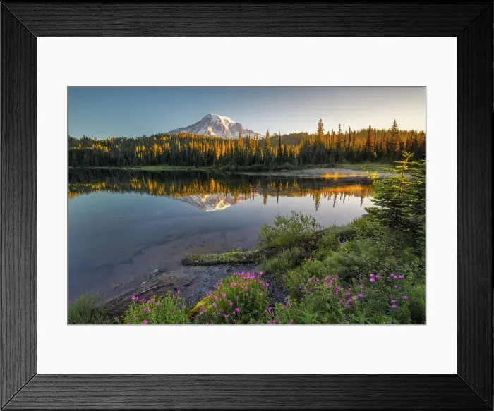 Framed Print : Mt. Rainier reflected in Reflection Lakes with Wildflowers at front, Nationalpark Mt. Rainier, North West, Washington State, USA Framed Print : Mt. Rainier reflected in Reflection Lakes with Wildflowers at front, Nationalpark Mt. Rainier, North West, Washington State, USA