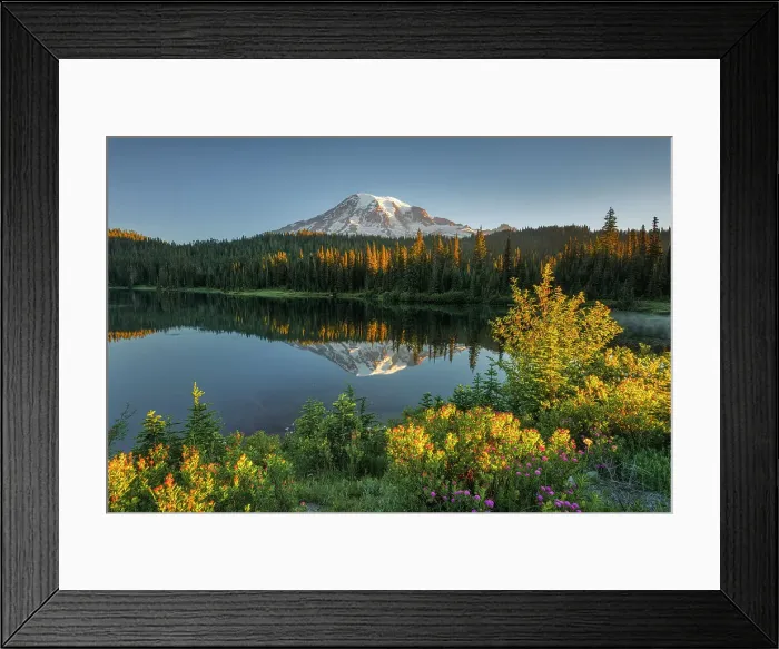 Framed Print : Mt. Rainier reflected in Reflection Lakes with Wildflowers at front, Nationalpark Mt. Rainier, North West, Washington State, USA Framed Print : Mt. Rainier reflected in Reflection Lakes with Wildflowers at front, Nationalpark Mt. Rainier, North West, Washington State, USA