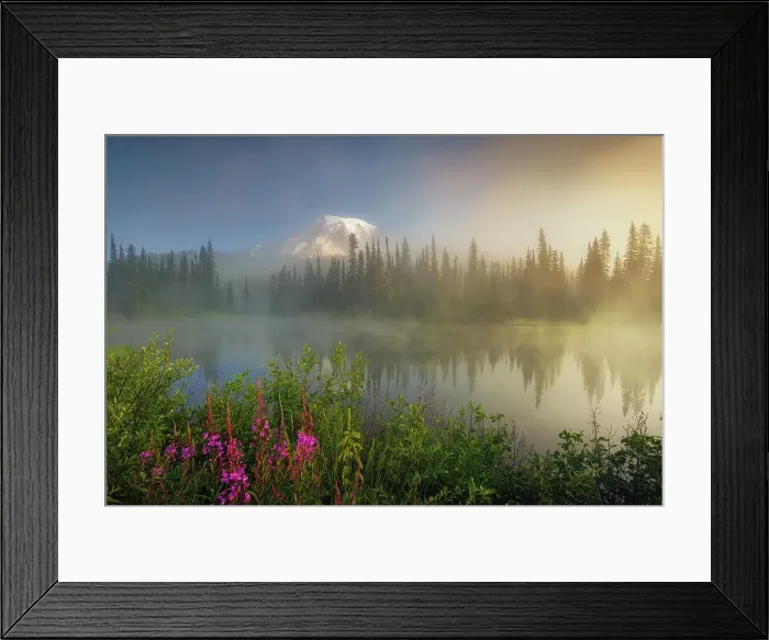 Framed Print : Morning at Reflection Lakes with Mt. Rainier in the background, Nationalpark Mt. Rainier, North West, Washington State, USA Framed Print : Morning at Reflection Lakes with Mt. Rainier in the background, Nationalpark Mt. Rainier, North West, Washington State, USA