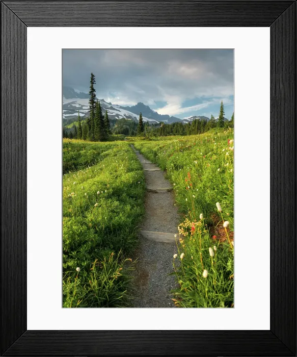 Framed Print : Hiking Trail Nationalpark Mt. Rainier, North West, Washington State, USA Hiking Trail Mt. Rainier National Park, Washington State, USA Framed Print : Hiking Trail Nationalpark Mt. Rainier, North West, Washington State, USA Hiking Trail Mt. Rainier National Park, Washington State, USA