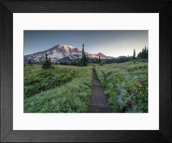 Framed Print : Hiking Trail with Mt. Rainier in the background, Mt. Rainier National Park, Washington State, USA Framed Print : Hiking Trail with Mt. Rainier in the background, Mt. Rainier National Park, Washington State, USA