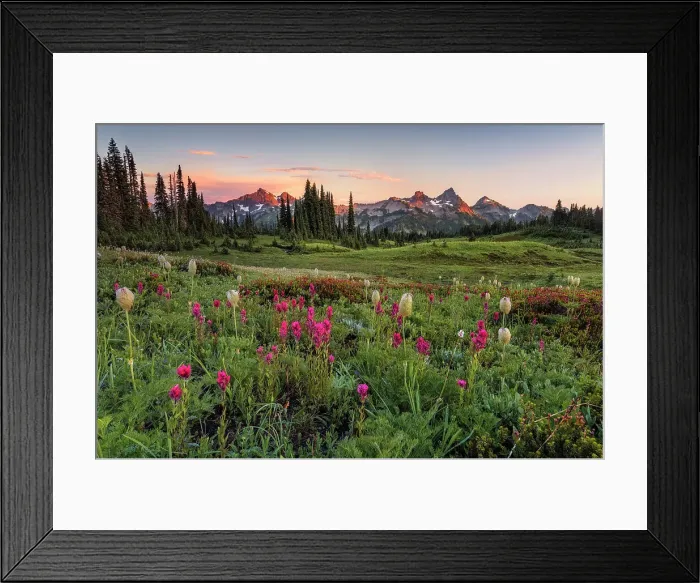 Framed Print : Alpine wildflowers with Tatoosh Range in the background, Mt. Rainier National Park, Washington State, USA Framed Print : Alpine wildflowers with Tatoosh Range in the background, Mt. Rainier National Park, Washington State, USA