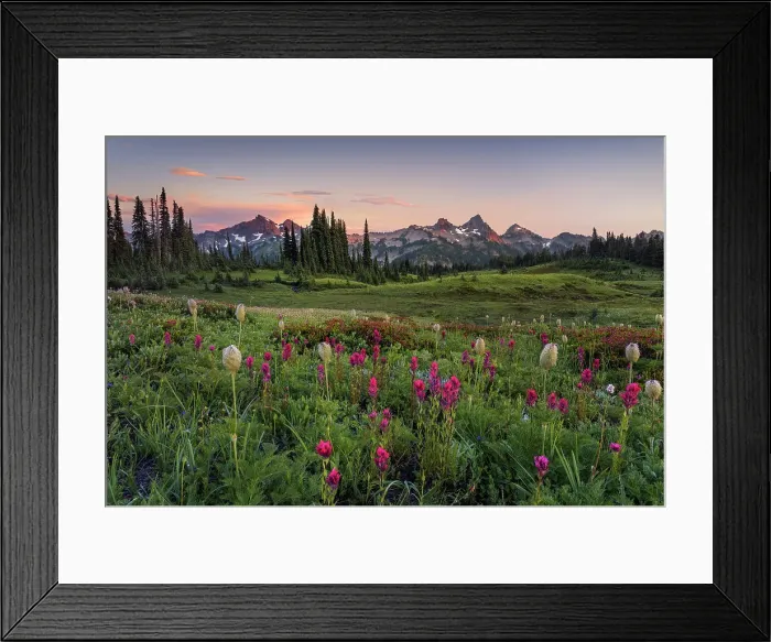 Framed Print : Alpine wildflowers with Tatoosh Range in the background, Mt. Rainier National Park, Washington State, USA Framed Print : Alpine wildflowers with Tatoosh Range in the background, Mt. Rainier National Park, Washington State, USA