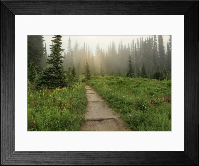 Framed Print : Hiking Trail Nationalpark Mt. Rainier, North West, Washington State, USA Hiking Trail Mt. Rainier National Park, Washington State, USA Framed Print : Hiking Trail Nationalpark Mt. Rainier, North West, Washington State, USA Hiking Trail Mt. Rainier National Park, Washington State, USA