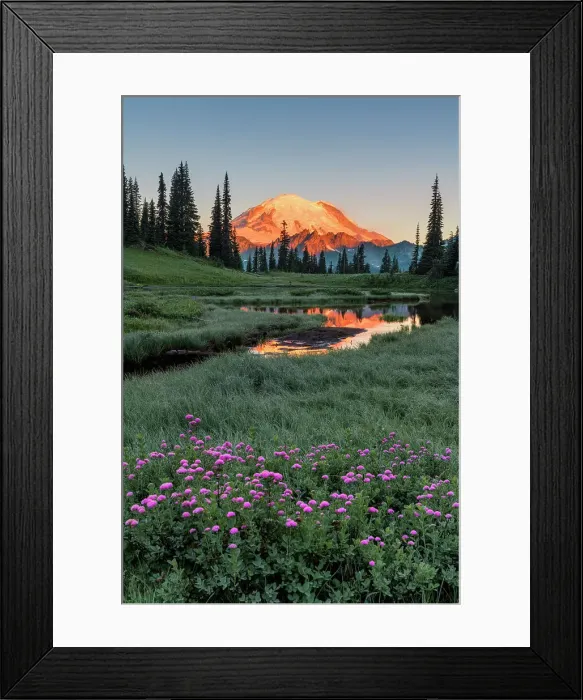 Framed Print : Alpine Wildflowers at Upper Tipsoo Lake with Mt. Rainier in the background, Nationalpark Mt. Rainier, North West, Washington State, USA Framed Print : Alpine Wildflowers at Upper Tipsoo Lake with Mt. Rainier in the background, Nationalpark Mt. Rainier, North West, Washington State, USA