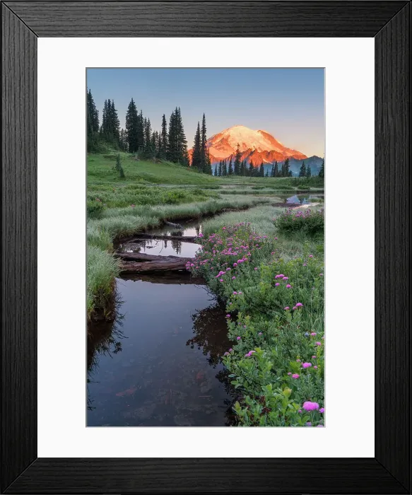 Framed Print : Alpine Wildflowers at Upper Tipsoo Lake with Mt. Rainier in the background, Nationalpark Mt. Rainier, North West, Washington State, USA Framed Print : Alpine Wildflowers at Upper Tipsoo Lake with Mt. Rainier in the background, Nationalpark Mt. Rainier, North West, Washington State, USA