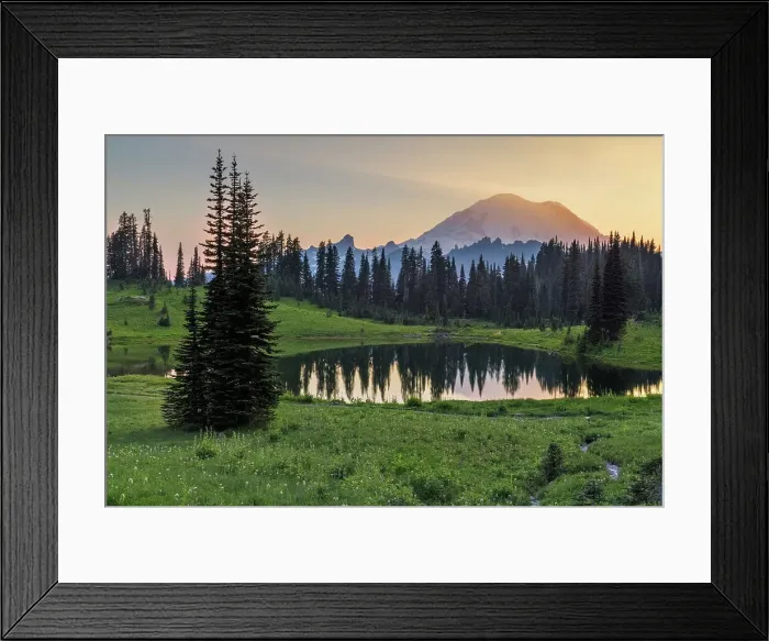 Framed Print : Alpine Wildflowers at Upper Tipsoo Lake with Mt. Rainier in the background, Nationalpark Mt. Rainier, North West, Washington State, USA Framed Print : Alpine Wildflowers at Upper Tipsoo Lake with Mt. Rainier in the background, Nationalpark Mt. Rainier, North West, Washington State, USA