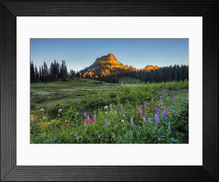 Framed Print : Wildflower meadows surround Lower Tipsoo Lake with Naches Peak in the background, Nationalpark Mt. Rainier, North West, Washington State, USA