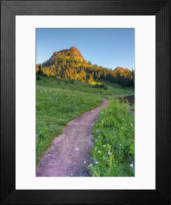 Framed Print : Trail along Lower Tipsoo Lake with Naches Peak in the background, Nationalpark Mt. Rainier, North West, Washington State, USA