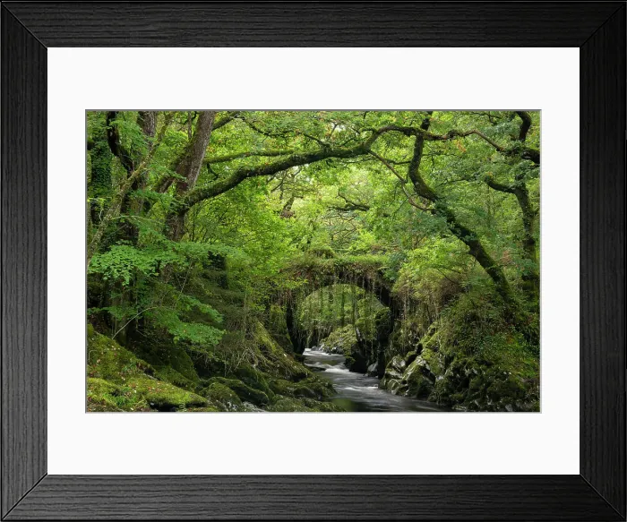 Framed Print : Roman Bridge & woodland near the village of Penmachno near Betws-y-Coed, Snowdonian National Park, Wales, UK. Autumn (October) 2023