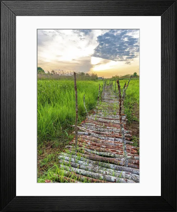 Framed Print : Africa, Zambia, Kasanka National Park. The footpath leading to the bat hide Framed Print : Africa, Zambia, Kasanka National Park. The footpath leading to the bat hide