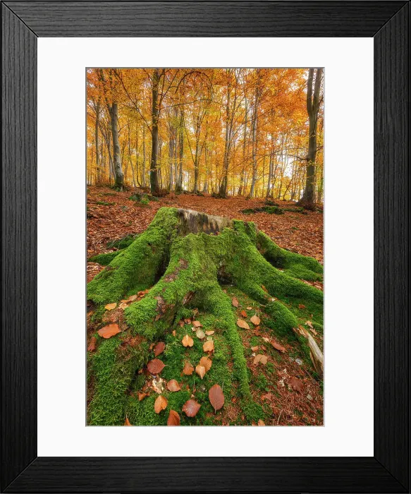 Framed Print : Monte Tellero, Ponna Superiore, Intelvi valley (val d'Intelvi), Como province, Lombardy, Italy Framed Print : Monte Tellero, Ponna Superiore, Intelvi valley (val d'Intelvi), Como province, Lombardy, Italy