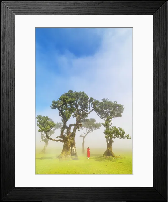 Framed Print : A girl enjoys the beautiful view at Fanal Forest during a foggy spring day, Porto Moniz, Madeira, Portugal Framed Print : A girl enjoys the beautiful view at Fanal Forest during a foggy spring day, Porto Moniz, Madeira, Portugal