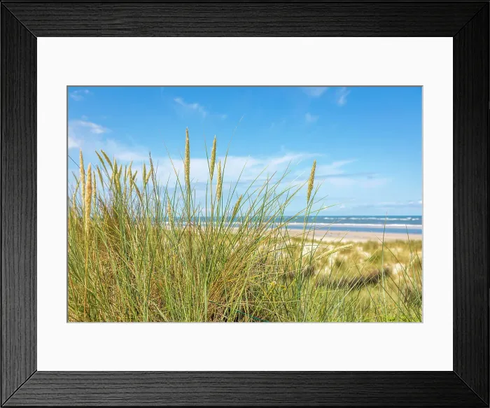 Framed Print : Beach grass in the dunes on the north beach of Spiekeroog, East Frisian Islands, East Frisia, Lower Saxony, Germany Framed Print : Beach grass in the dunes on the north beach of Spiekeroog, East Frisian Islands, East Frisia, Lower Saxony, Germany