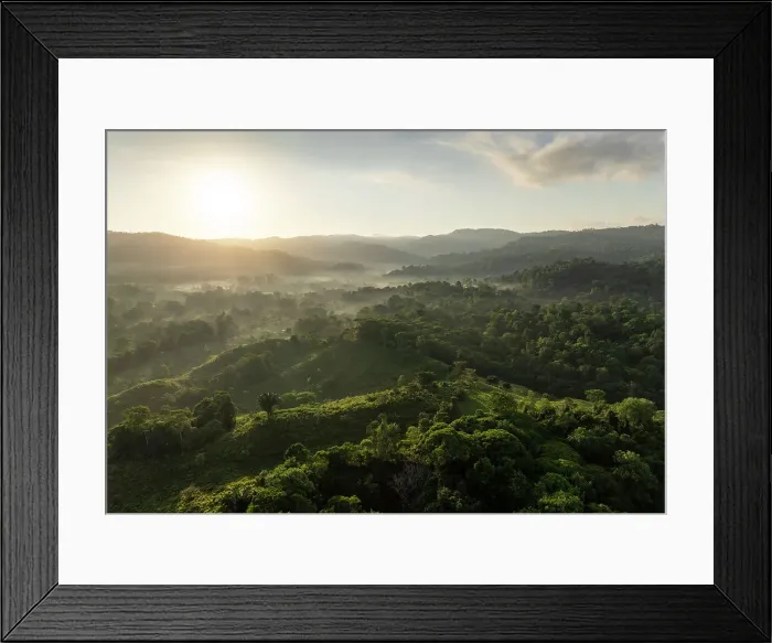 Framed Print : Aerial view of Corcovado National Park, Puntarenas Province, Costa Rica, Central America Framed Print : Aerial view of Corcovado National Park, Puntarenas Province, Costa Rica, Central America