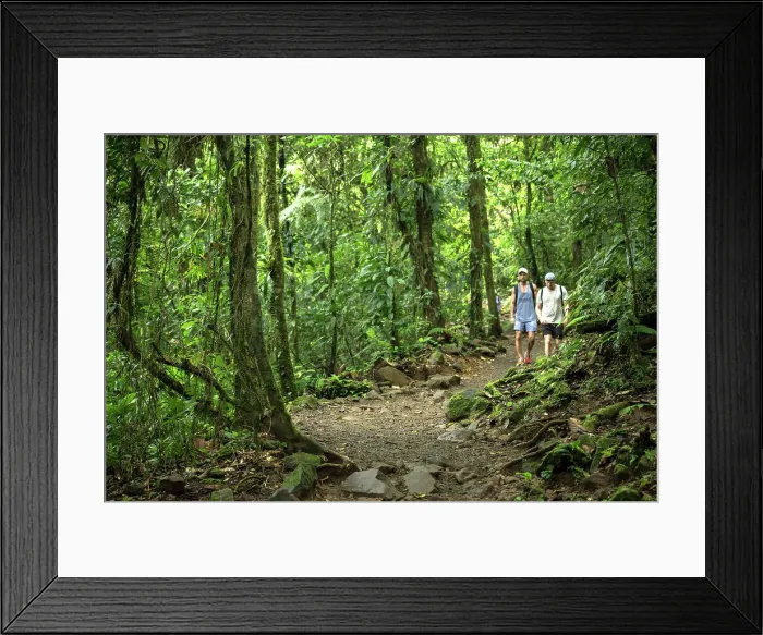 Framed Print : Rio Celeste, Parque Nacional Volcan Tenorio, Alajuela Province, Costa Rica, Central America