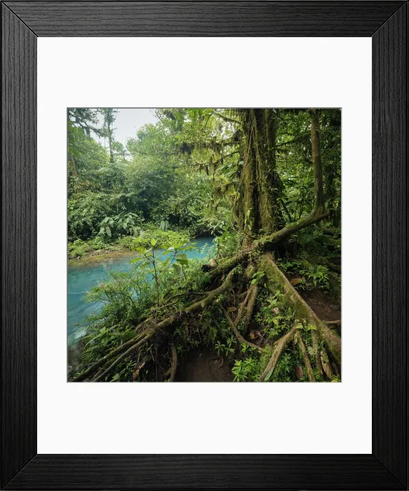Framed Print : Rio Celeste, Parque Nacional Volcan Tenorio, Alajuela Province, Costa Rica, Central America Framed Print : Rio Celeste, Parque Nacional Volcan Tenorio, Alajuela Province, Costa Rica, Central America
