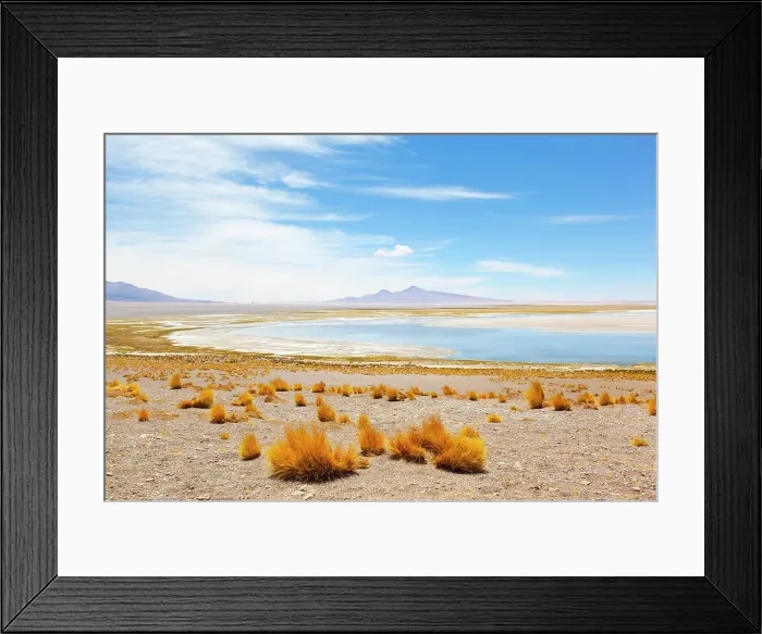 Framed Print : The Salar de Tara salt flat landscape, El Loa province, Antofagasta Region, Chile