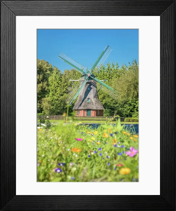 Framed Print : Small mill in the village of Schortens, Oldenburger Land, Lower Saxony, Germany Framed Print : Small mill in the village of Schortens, Oldenburger Land, Lower Saxony, Germany