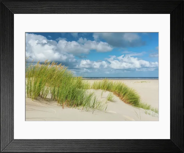 Framed Print : Dune at Beach, Norderney Island, North Sea, Ost Frisia, NP Wadden Sea, Germany, Europe
