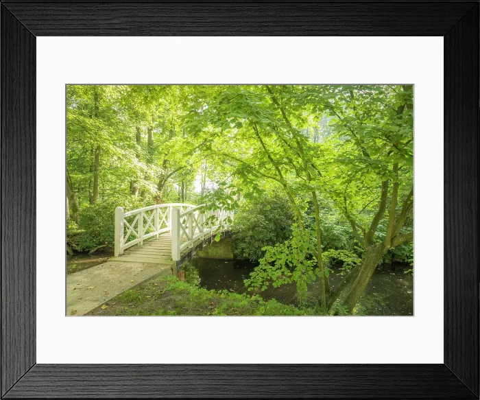 Framed Print : Bridge in the park of Evenburg Castle near Leer, East Frisia, Lower Saxony, Germany Framed Print : Bridge in the park of Evenburg Castle near Leer, East Frisia, Lower Saxony, Germany