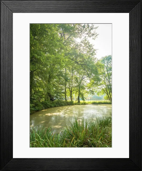 Framed Print : Pond in the park of Evenburg Castle near Leer, East Frisia, Lower Saxony, Germany Framed Print : Pond in the park of Evenburg Castle near Leer, East Frisia, Lower Saxony, Germany