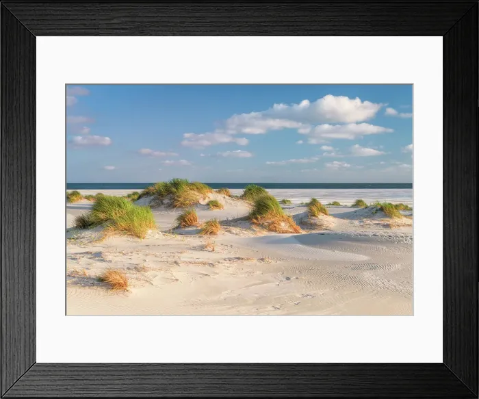 Framed Print : Dunes at National Park Schleswig-Holsteinisches Wattenmeer, Amrum island, North Sea, North Friesland, Germany, Europe Framed Print : Dunes at National Park Schleswig-Holsteinisches Wattenmeer, Amrum island, North Sea, North Friesland, Germany, Europe