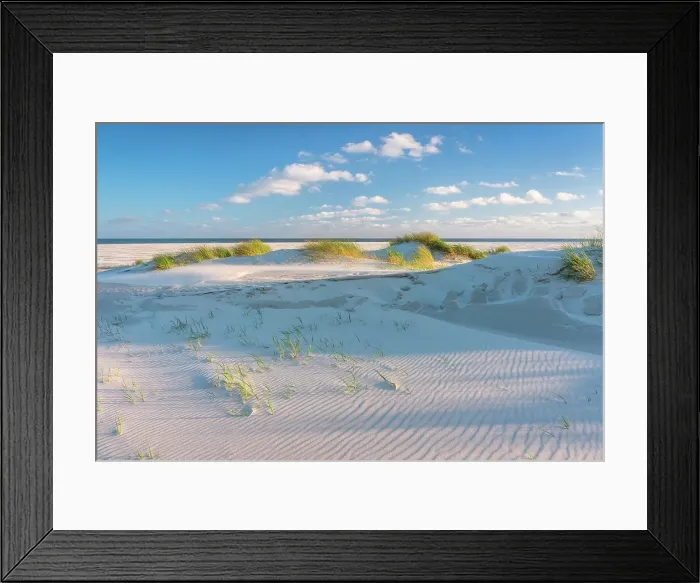 Framed Print : Dunes at National Park Schleswig-Holsteinisches Wattenmeer, Amrum island, North Sea, North Friesland, Germany, Europe Framed Print : Dunes at National Park Schleswig-Holsteinisches Wattenmeer, Amrum island, North Sea, North Friesland, Germany, Europe