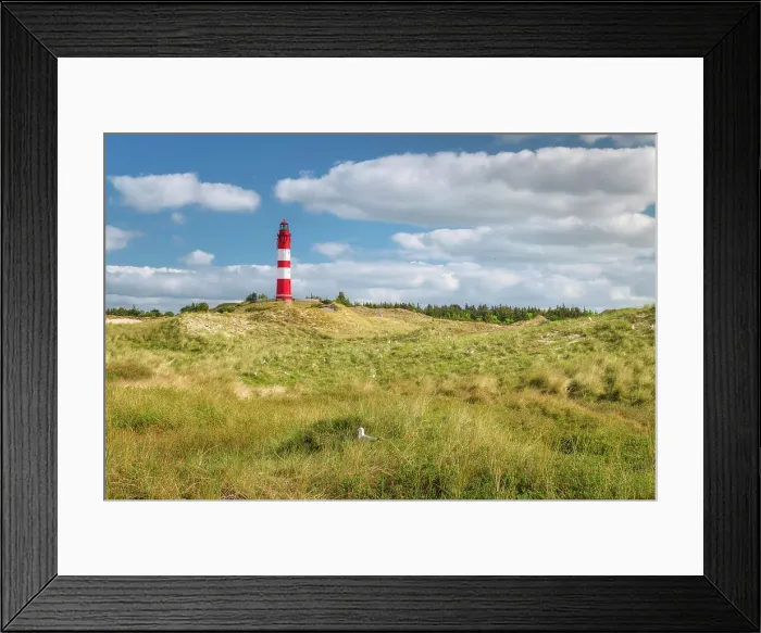 Framed Print : Lighthouse in the dunes, Amrum island, National Park Schleswig-Holsteinisches Wattenmeer, Amrum island, North Sea, North Friesland, Germany, Europe Framed Print : Lighthouse in the dunes, Amrum island, National Park Schleswig-Holsteinisches Wattenmeer, Amrum island, North Sea, North Friesland, Germany, Europe