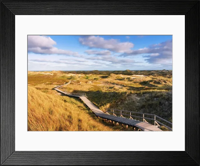 Framed Print : Path in dunes, Amrum island, National Park Schleswig-Holsteinisches Wattenmeer, Amrum island, North Sea, North Friesland, Germany, Europe Framed Print : Path in dunes, Amrum island, National Park Schleswig-Holsteinisches Wattenmeer, Amrum island, North Sea, North Friesland, Germany, Europe