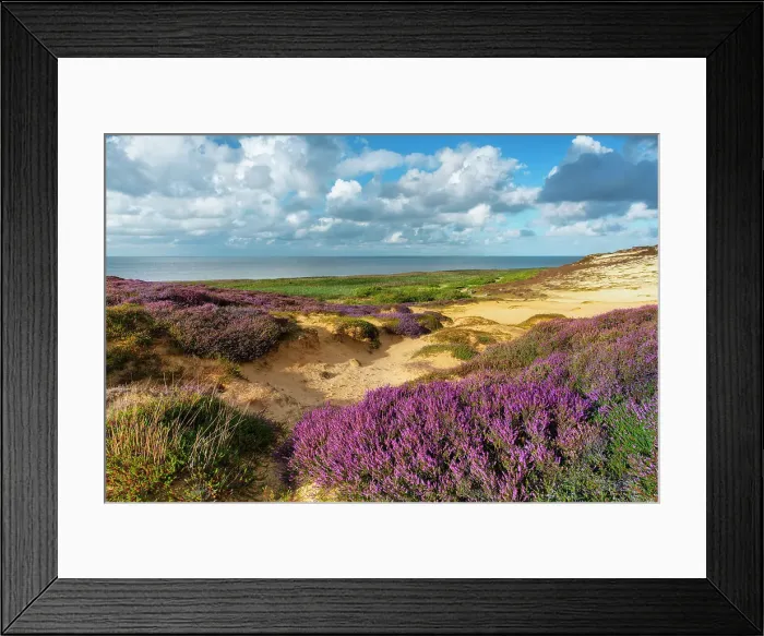 Framed Print : Heather on Morsum cliff, Sylt Island, North Sea, North Frisia, NP Wadden Sea, Schleswig-Holstein, Germany, Europe Framed Print : Heather on Morsum cliff, Sylt Island, North Sea, North Frisia, NP Wadden Sea, Schleswig-Holstein, Germany, Europe