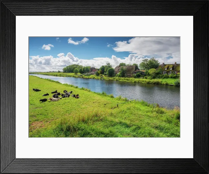 Framed Print : Country Life, North friesland, North Frisia, NP Wadden Sea, Germany, Europe