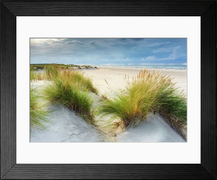 Framed Print : Beach, Spiekeroog Island, North Sea, Ost Frisia, NP Wadden Sea, Germany, Europe Framed Print : Beach, Spiekeroog Island, North Sea, Ost Frisia, NP Wadden Sea, Germany, Europe