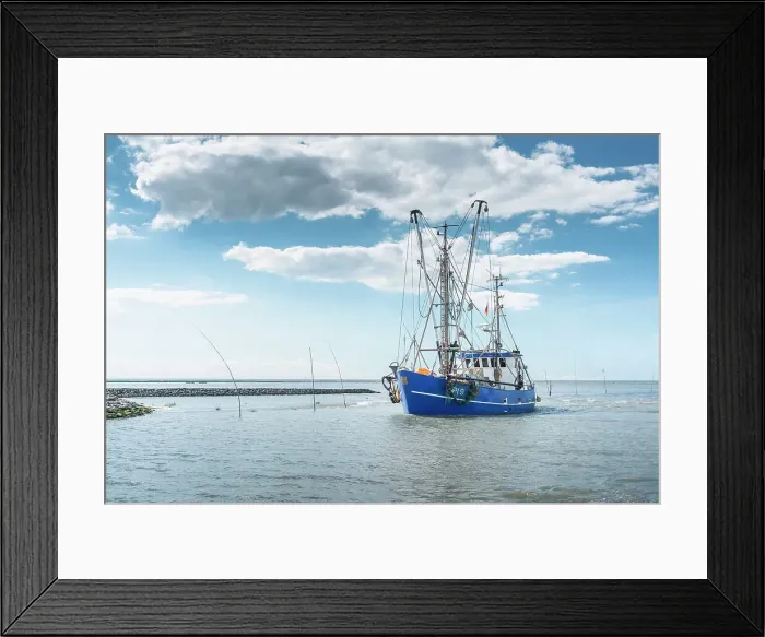 Framed Print : shrimp cutters, Dorum-Neufeld, Wursten North Sea Coast, North Sea Coast, Land Wursten, Lower Saxony, Europe Framed Print : shrimp cutters, Dorum-Neufeld, Wursten North Sea Coast, North Sea Coast, Land Wursten, Lower Saxony, Europe