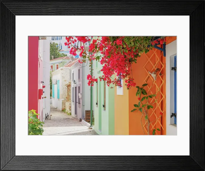 Framed Print : Old town street filled with Halki traditional houses and flora, Halki Island, Dodecanese Islands, Greece Framed Print : Old town street filled with Halki traditional houses and flora, Halki Island, Dodecanese Islands, Greece