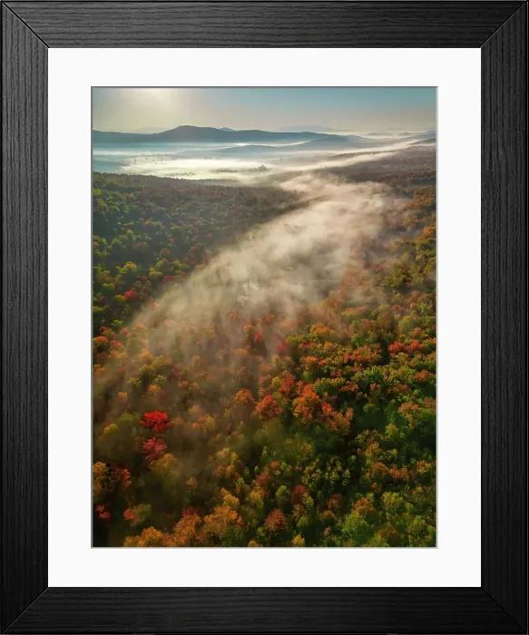 Framed Print : Mist Over Groton State Forest in Autumn, Vermont, New England, USA Framed Print : Mist Over Groton State Forest in Autumn, Vermont, New England, USA