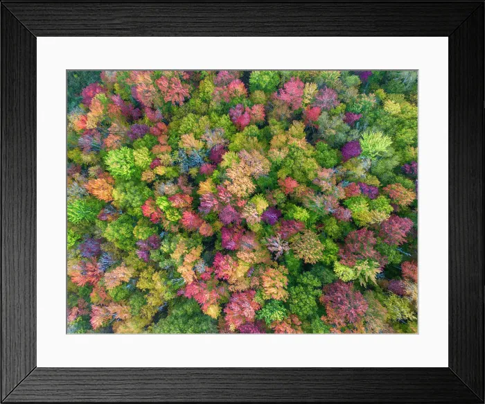 Framed Print : Aerial View Over Trees in Autumn, Vermont, New England, USA Framed Print : Aerial View Over Trees in Autumn, Vermont, New England, USA