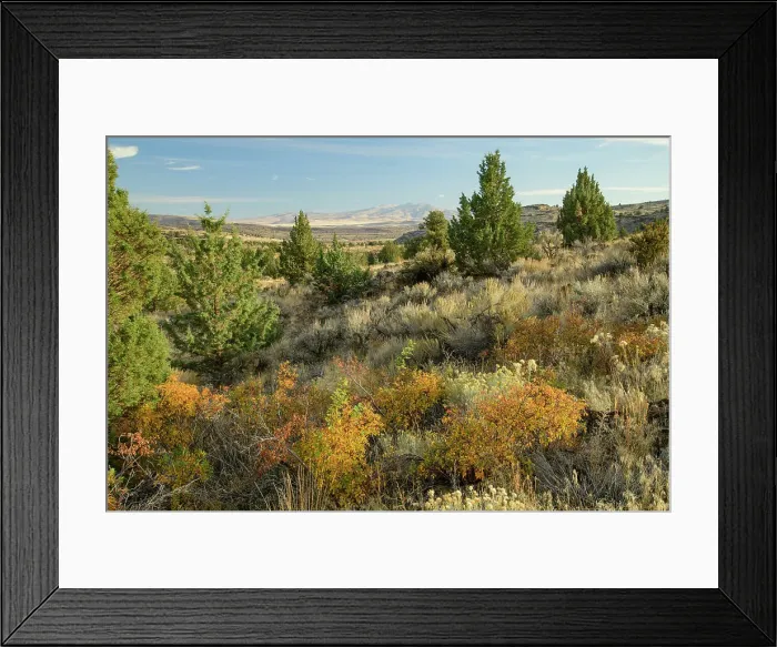 Framed Print : USA, California, High Desert, Secret Valley, Highway 395