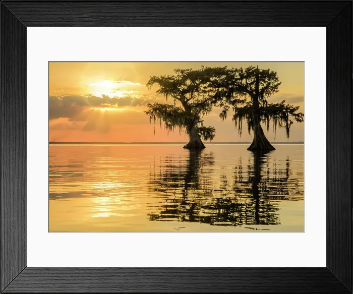 Framed Print : USA, Louisiana, Jefferson Parish, St.Martinville, Lake Fausse Framed Print : USA, Louisiana, Jefferson Parish, St.Martinville, Lake Fausse