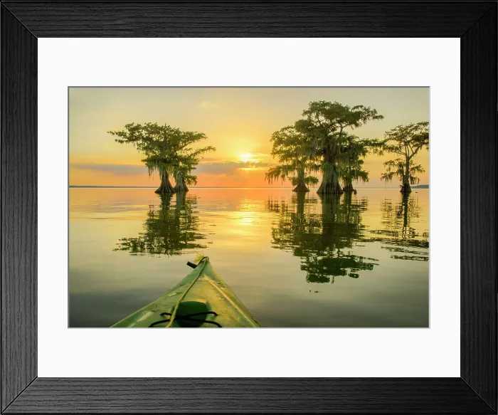 Framed Print : USA, Louisiana, Jefferson Parish, St.Martinville, Lake Fausse Framed Print : USA, Louisiana, Jefferson Parish, St.Martinville, Lake Fausse