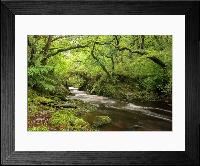 Framed Print : Roman Bridge & woodland near the village of Penmachno near Betws-y-Coed, Snowdonian National Park, Wales, UK. Autumn (October) 2023 Framed Print : Roman Bridge & woodland near the village of Penmachno near Betws-y-Coed, Snowdonian National Park, Wales, UK. Autumn (October) 2023