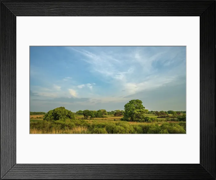 Framed Print : Africa, Zambia, Kasanka National Park. The beautiful landscape seen from the bat hide Framed Print : Africa, Zambia, Kasanka National Park. The beautiful landscape seen from the bat hide