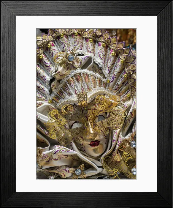 Framed Print : Venetian carnival mask, Venice, Veneto, Italy Framed Print : Venetian carnival mask, Venice, Veneto, Italy