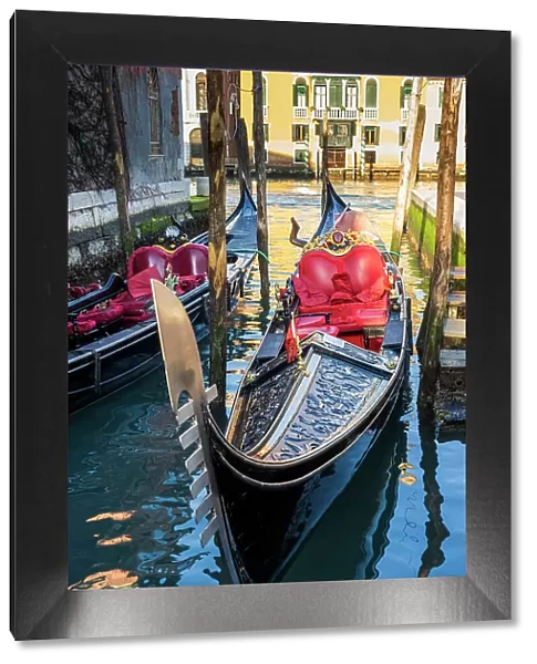 Moored gondola, Venice, Veneto, Italy